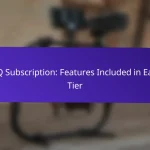 Подписка ICQ: функции, включённые в каждый уровень