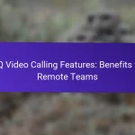 Функции видеозвонков ICQ: преимущества для удалённых команд