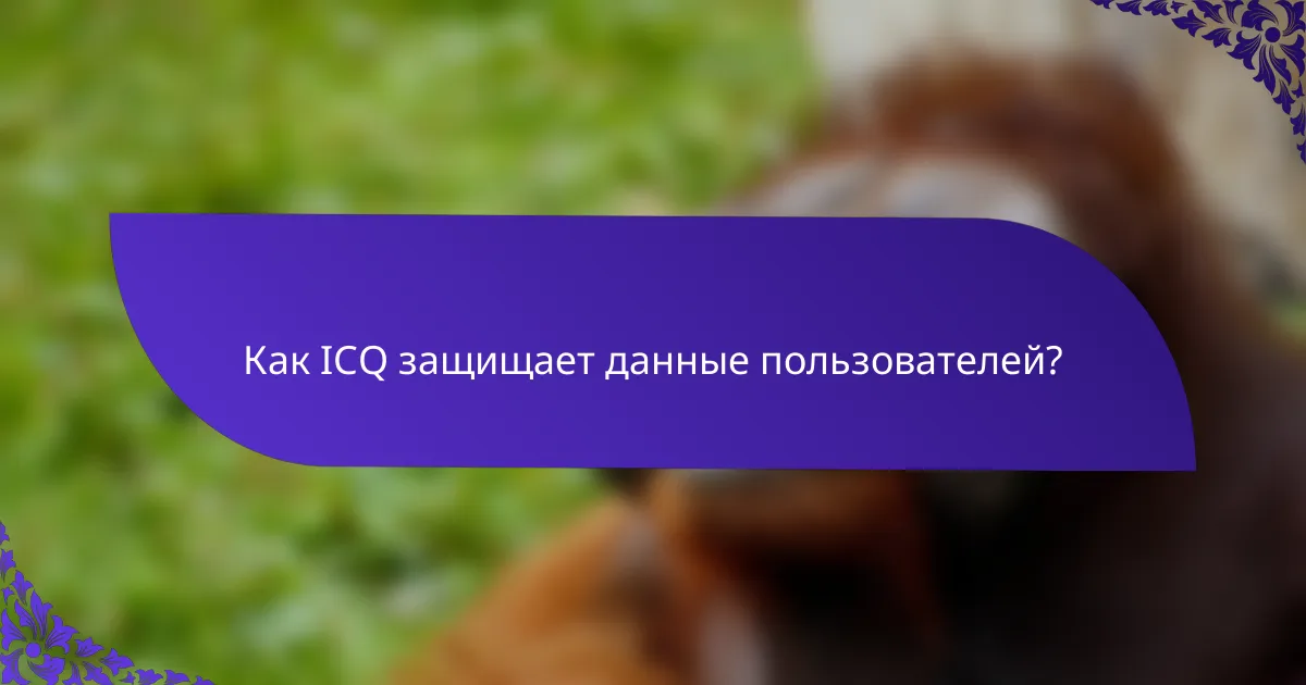 Как ICQ защищает данные пользователей?